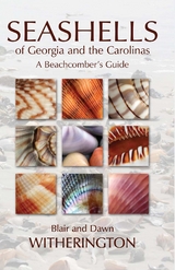 Seashells of Georgia and the Carolinas - Blair Witherington, Dawn Witherington