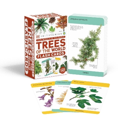Our World in Pictures Trees of the World Flash Cards -  Dk