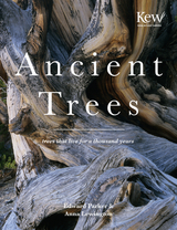 Ancient Trees - Anna Lewington