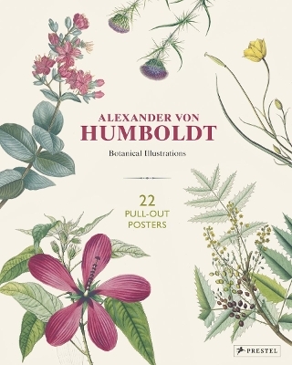 Alexander von Humboldt: 22 Pull-Out Posters - Otfried Baume