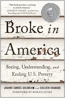 Broke in America - Joanne Samuel Goldblum, Colleen Shaddox