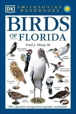 Birds of Florida -  Dk
