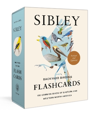 Sibley Backyard Birding Flashcards, Revised and Updated - David Allen Sibley