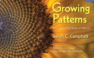 Growing Patterns