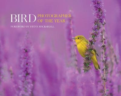 Bird Photographer of the Year -  Bird Photographer of the Year