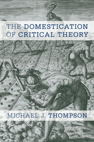 Domestication of Critical Theory