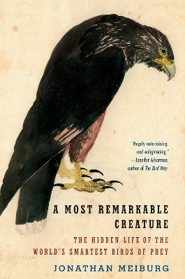 A Most Remarkable Creature - Jonathan Meiburg