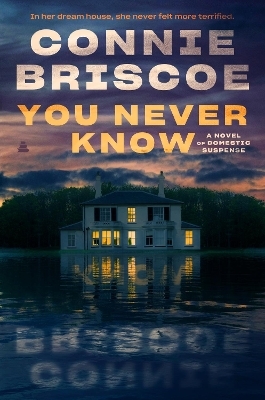 You Never Know - Connie Briscoe
