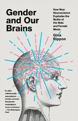 Gender and Our Brains