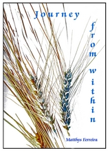 Journey from within -  Matthys Ferreira