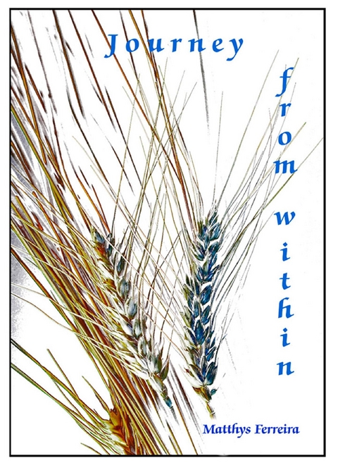 Journey from within -  Matthys Ferreira