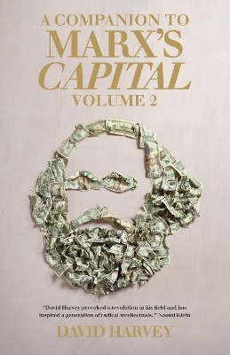 A Companion to Marx's Capital, Volume 2 - David Harvey