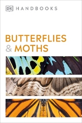 Butterflies and Moths - Carter, David