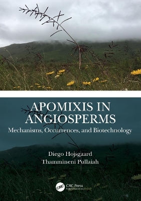 Apomixis in Angiosperms - Diego Hojsgaard, Thammineni Pullaiah