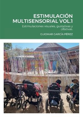 Estimulación Multisensorial Vol.1