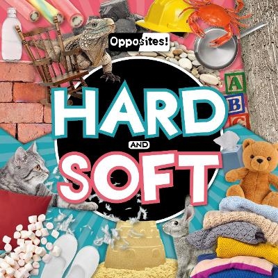 Hard and Soft - Holly Duhig