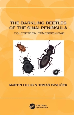The Darkling Beetles of the Sinai Peninsula - Martin Lillig, Tom&aacute;&scaron; Pavl&iacute;ček