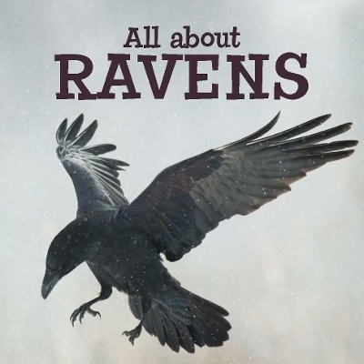 All about Ravens -  Arvaaq Press