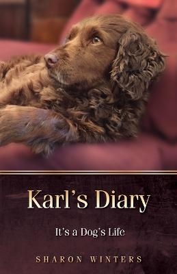 Karl's Diary