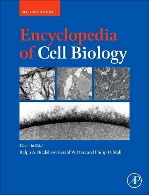 Encyclopedia of Cell Biology-