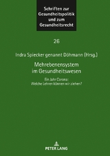 Mehrebenensystem im Gesundheitswesen - 