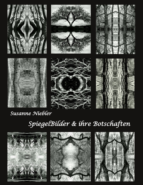 SpiegelBilder und ihre Botschaften - Susanne Niebler