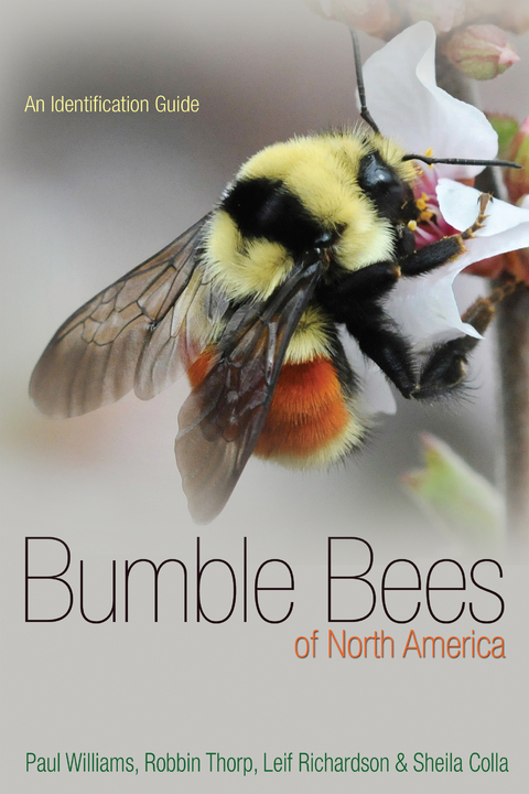 Bumble Bees of North America - Paul H. Williams, Robbin W. Thorp, Leif L. Richardson, Sheila R. Colla