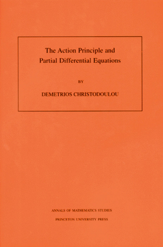 The Action Principle and Partial Differential Equations