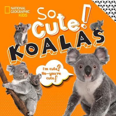 So Cute! Koalas -  National Geographic Kids, Crispin Boyer