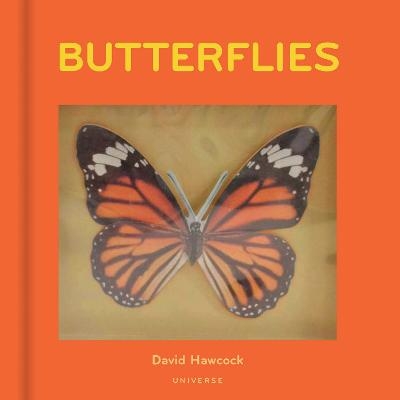 Butterflies - David Hawcock