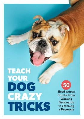 Teach Your Dog Crazy Tricks