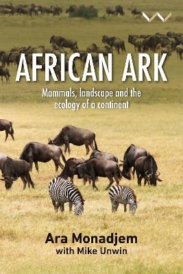 African ark - Ara Monadjem