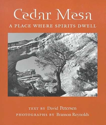 Cedar Mesa - David Petersen, Branson Reynolds