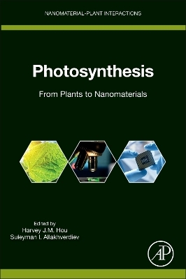Photosynthesis