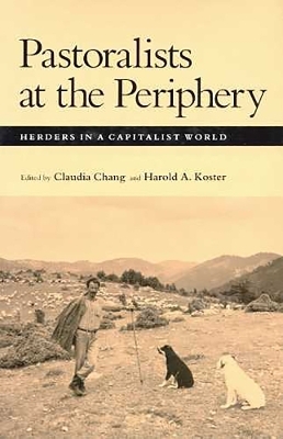 Pastoralists at the Periphery - 
