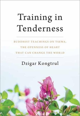 Training in Tenderness - Dzigar Kongtrul