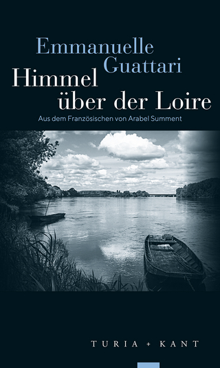 Himmel über der Loire