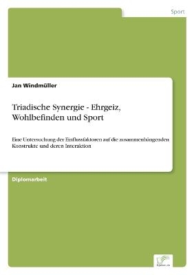 Triadische Synergie - Ehrgeiz, Wohlbefinden und Sport - Jan Windm&Atilde;&frac14;ller