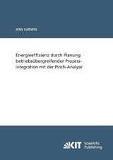 Energieeffizienz durch Planung betriebs&uuml;bergreifender Prozessintegration mit der Pinch-Analyse - Jens Ludwig