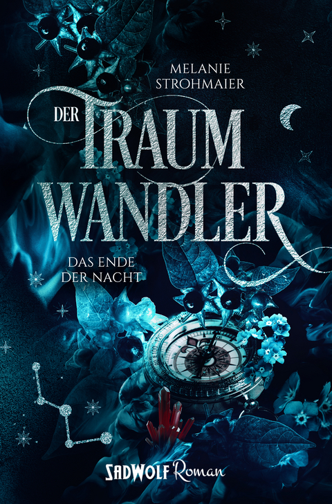 Der Traumwandler: Band 3 - Melanie Strohmaier
