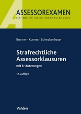 Assessorexamen / Strafrechtliche Assessorklausuren - Raimund Brunner, Christian Kunnes, Peter Schwabenbauer