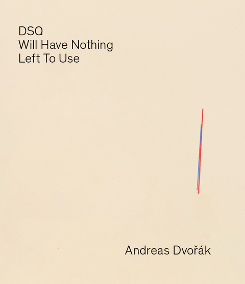 DSQ &mdash; Will Have Nothing Left To Use - Andreas Dvoř&aacute;k, Christian Egger