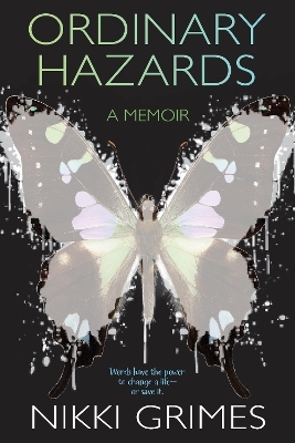 Ordinary Hazards - Nikki Grimes