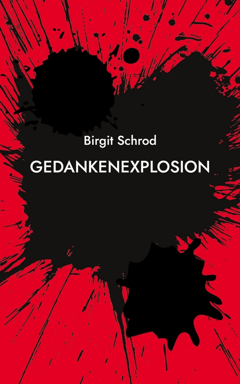 Gedankenexplosion - Birgit Schrod