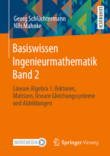 Basiswissen Ingenieurmathematik Band 2 - Georg Schlüchtermann, Nils Mahnke