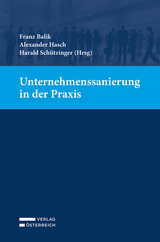 Unternehmenssanierung in der Praxis - 