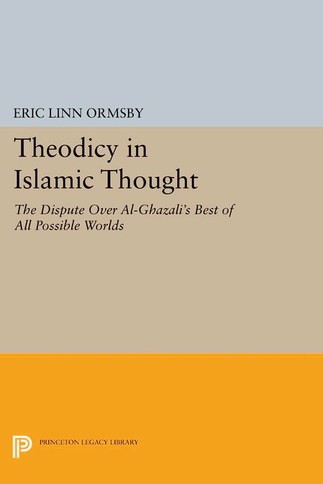 Theodicy in Islamic Thought - Eric Linn Ormsby