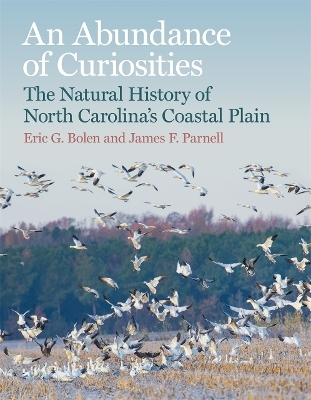 An Abundance of Curiosities - Eric G. Bolen, James F. Parnell