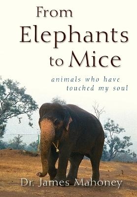 From Elephants to Mice