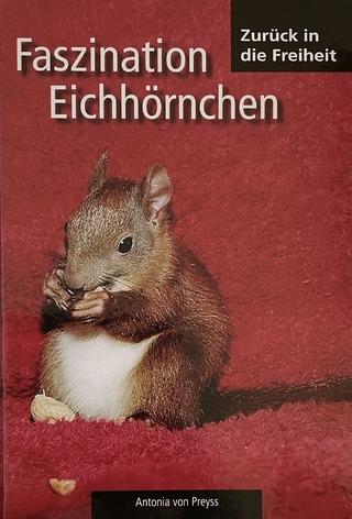 Faszination Eichhörnchen